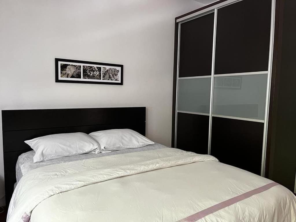 Condesa Residence Amsterdam D Sunny 2Bed 1Bath Apt In Condesa Mexico By Eksteriør billede