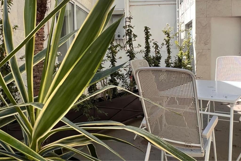Condesa Residence Amsterdam D Sunny 2Bed 1Bath Apt In Condesa Mexico By Eksteriør billede
