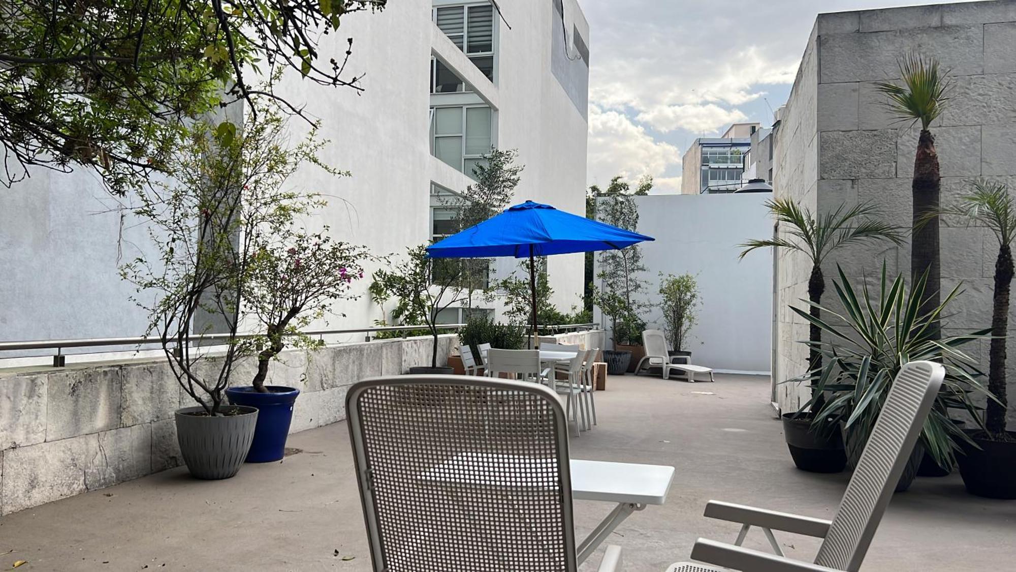 Condesa Residence Amsterdam D Sunny 2Bed 1Bath Apt In Condesa Mexico By Eksteriør billede